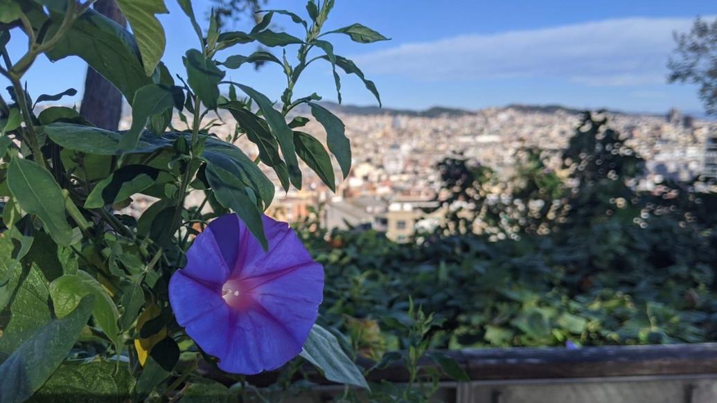 RECAP - DAY 5 - FanCode ECS Spain Barcelona