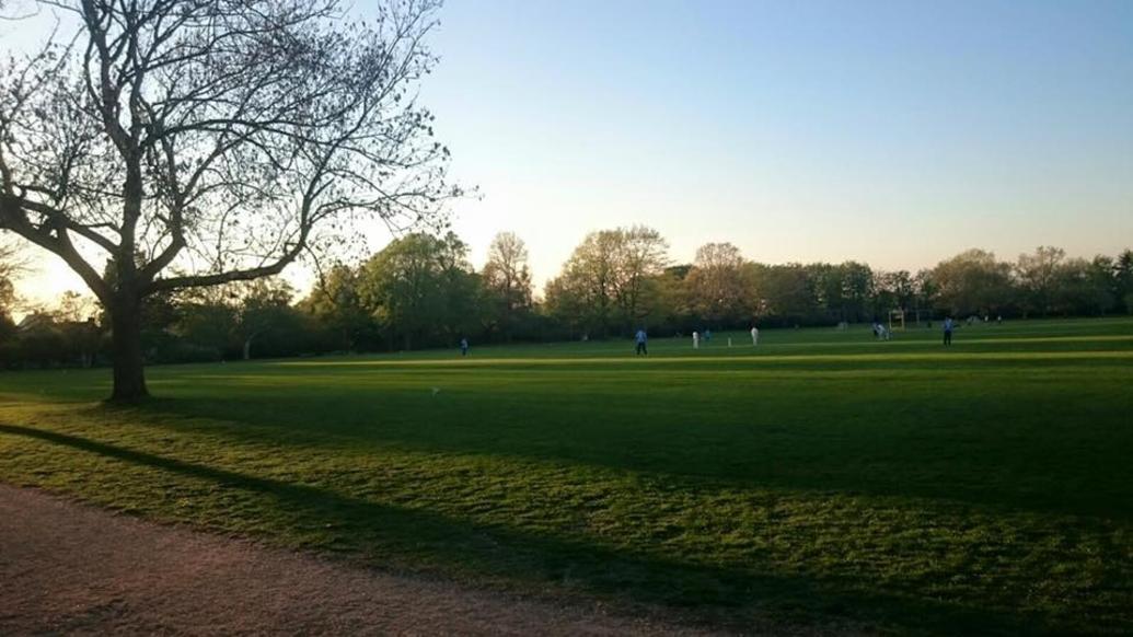 European Cricket Series Malmo – Team and Player Stats guide